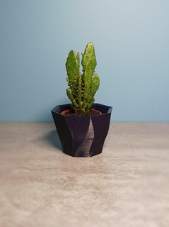 pot flowerpot flower cactus plant 3d print model - Mito3D
