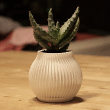 pot casa la pianta matita geometria art il vaso fioriera natura 3d print model - Mito3D