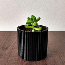 pot 1 pots plant vegetable garden deco decoration cactus succulent 3d print model - Mito3D