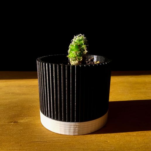 tencere 2 bitki sebze Bahçe deko dekorasyon kaktüs sulu 3D print model - Mito3D