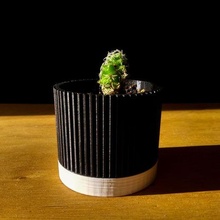 pot 2 pots plant vegetable garden deco decoration cactus succulent 3d print model - Mito3D