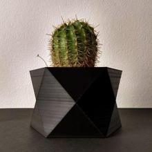 pot 3 pots plante légume jardin déco décoration cactus succulent 3d print model - Mito3D