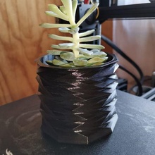 pentola astratto decorazione vaso fiori pianta succulenta 3d print model - Mito3D