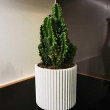 pot cactus cacti plant garden gardening jardinere marble 3d print model - Mito3D
