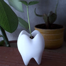 pot diş vazo çeşitli odontologist hekimliği bitkiler köstebek saksı 3d print model - Mito3D
