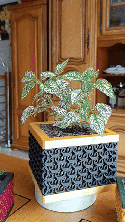 pentola design eleganza casa pianta cactus decorazione fiore stile natura succulenta 3d print model - Mito3D