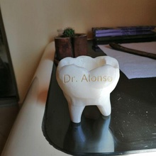 maceta flor diente regalo dentista arquitectura potflower profesional odontología interior diseño 3d print model - Mito3D