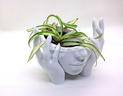 pot hands face 1 home pots design 3d print model - Mito3D