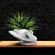 tencere eller kalp Matera bitki Bahçe ev ofis dekorasyon Aşk hediye deko 3d print model - Mito3D