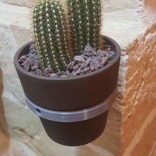 gancio del vaso casa office di fiori cactus 3d print model - Mito3D