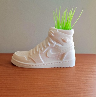 pot jordan 1 nike air sneakers shoes keychain high miniature plants house art 3d print model - Mito3D