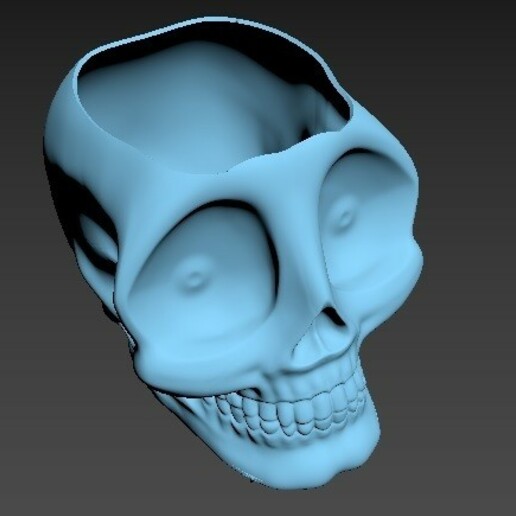 pentola matas piante grasse cranio sch ug cr nio ne pentole materas pentolame des tu tosse tuo uccidi matera arte 3D print model - Mito3D