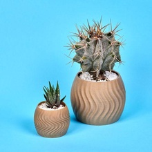 pot model breeze flower cactus succulent decor decoration plant 3d print model - Mito3D
