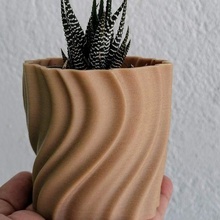 pot model flame flower cactus succulent decor decoration plant 3d print model - Mito3D
