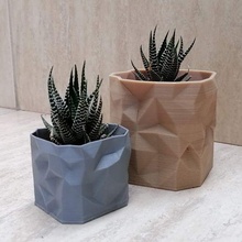 pot model geode flower cactus succulent decor decoration plant 3d print model - Mito3D