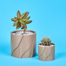 Topf Modell Tulpe Blume Kaktus saftig Dekor Dekoration Pflanze 3d print model - Mito3D