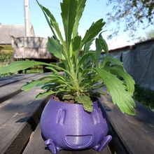 pot Bay mystherbe ev ekici çiçek bahçe pok mon tasarım heykelcik 3d print model - Mito3D