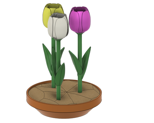 topf of tulpen zuhause haus tulpe frühling büro 3d print model - Mito3D