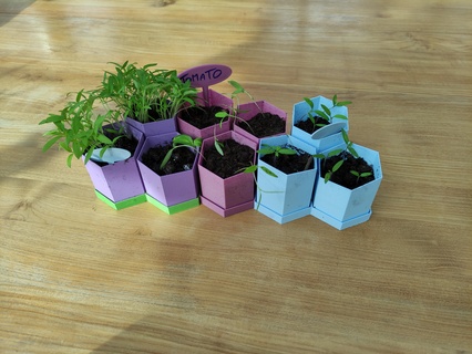 pot verser semis menue plante outils 3d print model - Mito3D