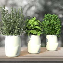 pot store aromatic plant decoration home flower herb houseplant seedling potty refined lowpoly modern design vegetable water reservoir tank 3d print model - Mito3D