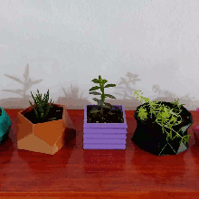 pots 5 - combo 1 pot catus cacti succulent garden ornaments suculentas cactus macetas maceta plantas adornos jardin 3d print model - Mito3D