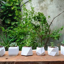 ollas 6 paquete flor maceta plantas minimalista 3d print model - Mito3D