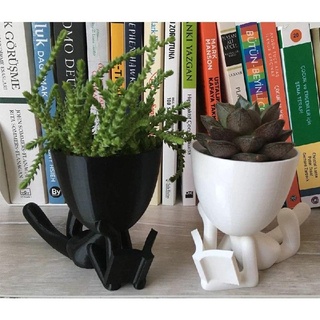 potted robert reading book Home pot succulent plant home 3d print model - Mito3D