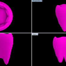 vasos de roda a arte dente pote flor vaso flores 3d print model - Mito3D