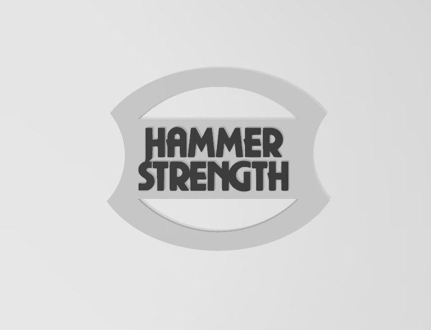 power strength logo hammer gym bodybuilding powertraining training sports fitness 3D print model - Mito3D
