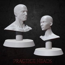 practice heads - skin painting paint makeup make up mannequins mannequin free 3d print model - Mito3D