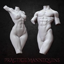 practice mannequins free skin model mannequin paint 3d print model - Mito3D