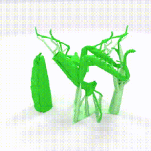 mante religieuse divers santateresa la science les arthropodes cannibale de chasse mantis insectes animal l'éducation l'environnement didactique d'enseignement l'anatomie mantodea le harcèlement prédateur insectivore cripsis cryptique camouflage ooteca 3d print model - Mito3D