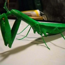 praying mantis creatures 3d print model - Mito3D