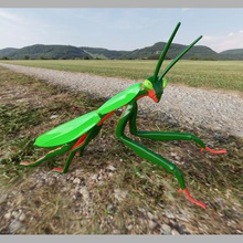 mante religieuse divers figurine art toy collection les insectes deco 3d print model - Mito3D