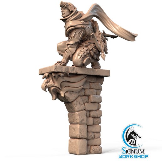 pre-supported 3d printable model daniel vallor's hawk game fantasy d&d 32mm 3dprintable signum workshop 3D print model - Mito3D