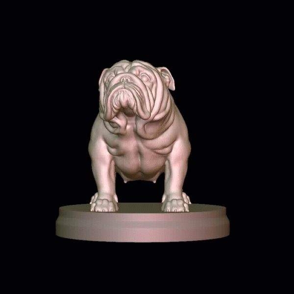 enceinte anglais bouledogue art taureau chien femelle directeur espagnol ozaru dragon balle français poilu exotique brute américain sculpture jouets 3D print model - Mito3D