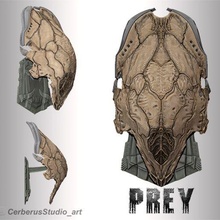 proie sauvage prédateur 3d impression sculpture anatomie modélisation 3d print model - Mito3D