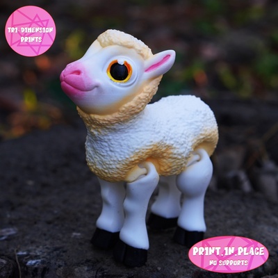 print in place cute flexi lamb baby no supports sheep winter babysheep flexy flexable link toy articulated flyingunicorn valentine fidget 3d print model - Mito3D