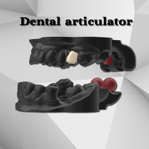 printable dental articulator tool 3dprint model technician stl 3d printed occluder 3D print model - Mito3D