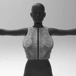 gedruckt Kleider Körper voronoi Hemd Cosplay Mode Kostüm Maske Kunst Deko benennen parametrisch Korsett 3d print model - Mito3D