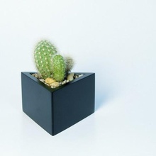 prisma fioriera casa low poly per la matematica succulente cactus arredamento ufficio 3d print model - Mito3D