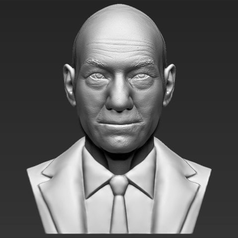 Profesör charles xavier 3d baskı hazır stl n büstü sanat mutant kaptan Amerika demir adam marvel heykel heykelcik minyatür wolverine x-men 3D print model - Mito3D