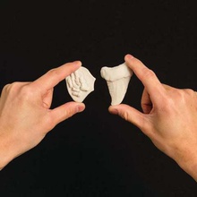 projet de décision fossiles sculptris divers makerbotintheclassroom makerbotedu l'apprentissage 3d print model - Mito3D