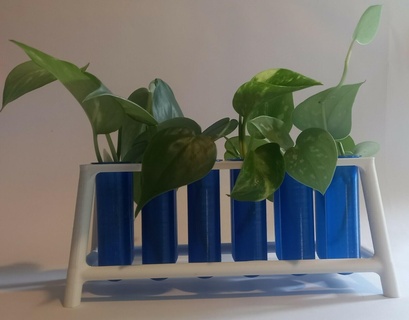 Vermehrung Bahnhof 12 Prüfung Röhren Pflanzen Gartenarbeit DIY 3d print model - Mito3D