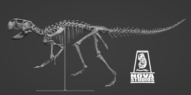 psittacosaurus skeleton dinosaur skull model 3d paleontology printing enthusiast jurassic era educational science education home decor collectible fossil replica high-detail digital download 3d print model - Mito3D