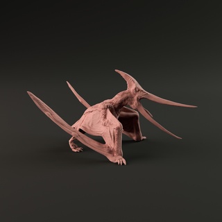 pteranodon angry 1-35 scale pre-supported Art animal bird figure jurassic model reptile sky 3dprint prehistoric fossils paleontology extinct soaring carnivore cretaceous pterosaur fish-eater flyingreptile crestedhead 3d print model - Mito3D