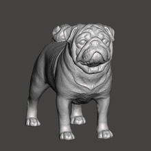 pug cachorro cão estimação 3d print model - Mito3D