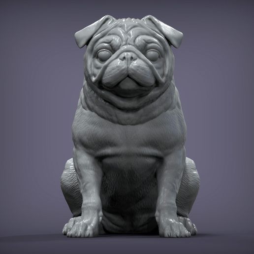 pug dog animal 3D print model - Mito3D