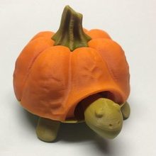 pumkin top squishy turtle game toy 3d print model - Mito3D