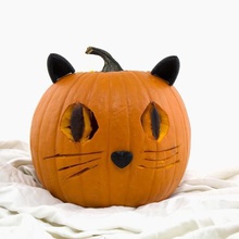 pumpkin cat home halloween costume accessories parties events 3d print model - Mito3D